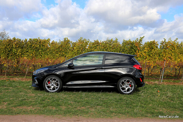 Ford Fiesta ST Seite