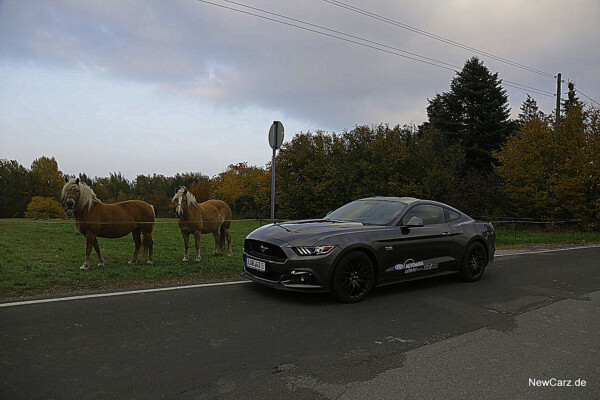 1-NewCarz-Ford-Mustang-GT (29)