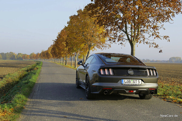 1-NewCarz-Ford-Mustang-GT (9)