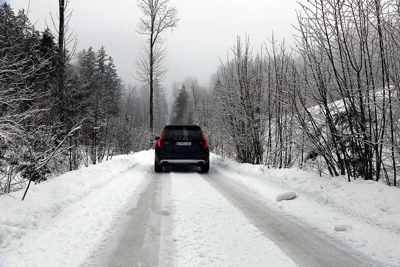 NewCarz Volvo XC90 Winterwald