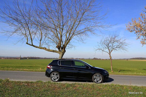 NewCarz-Peugeot-308-GT (43)