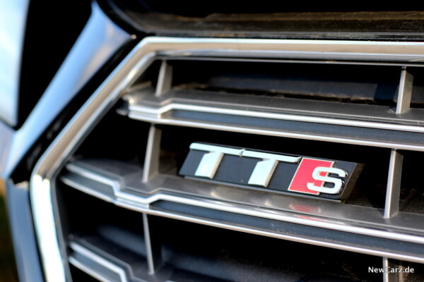 NewCarz-Audi-TTS-Roadster-25