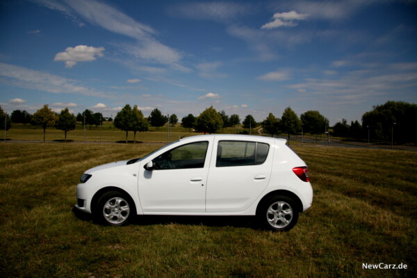 newcarz-dacia-sandero-12