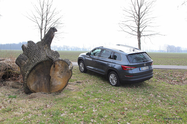 Skoda Kodiaq schräg hinten