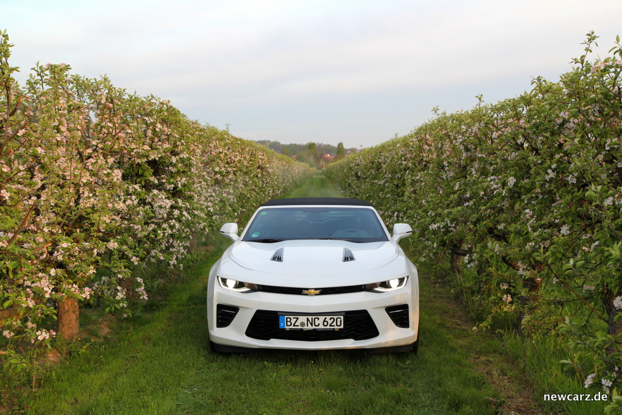 Chevrolet Camaro Convertible V8