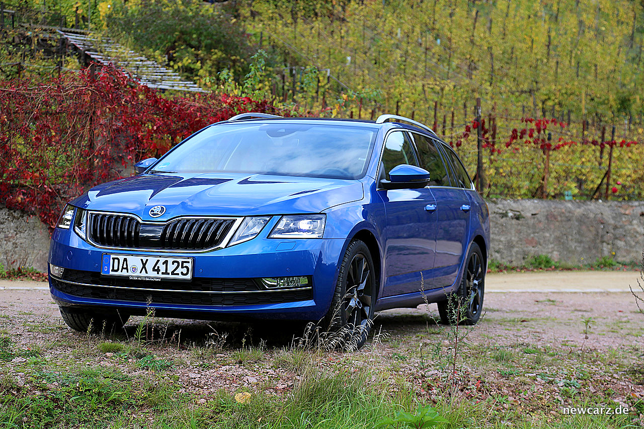 Skoda Octavia Combi  Test –  Make up für Platzhirsch