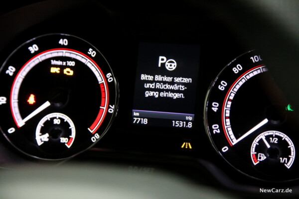 Skoda Octavia RS245 Parklenkassistent