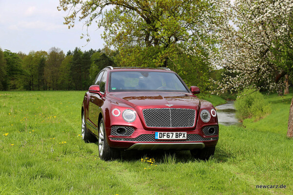 Bentley Bentayga Diesel Wiese