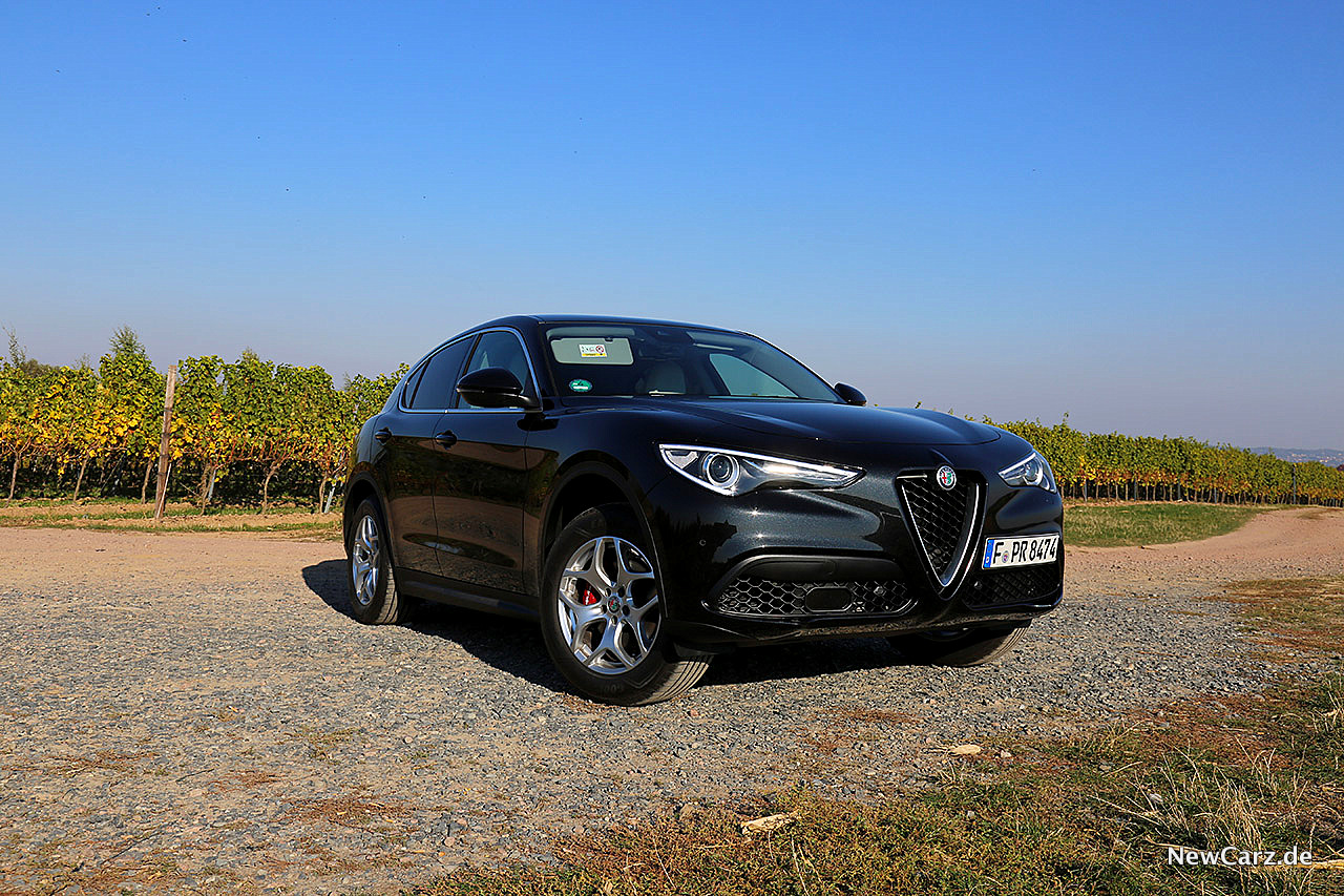 Alfa Romeo Stelvio  Test –  Italiens next Topmodel