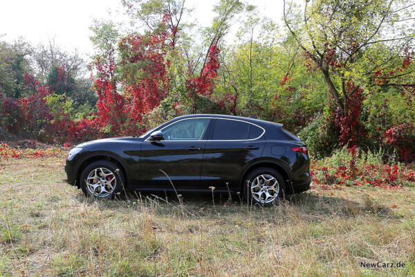 Alfa Romeo Stelvio Seite