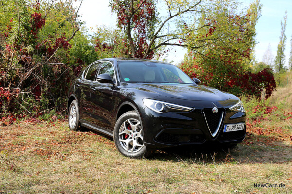 Alfa Romeo Stelvio schräg vorne