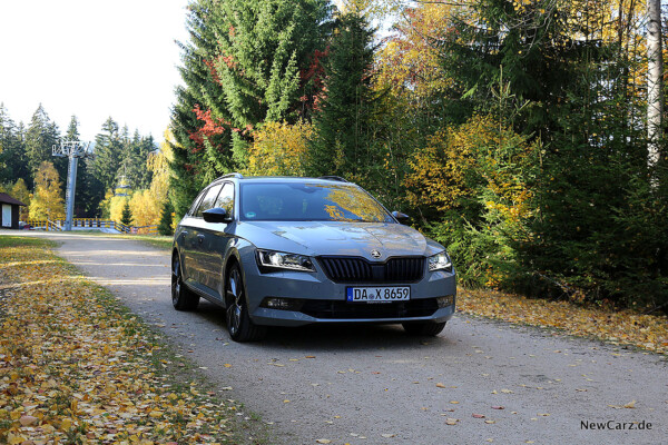 Skoda Superb Combi SportLine schräg vorn rechts im Herbst