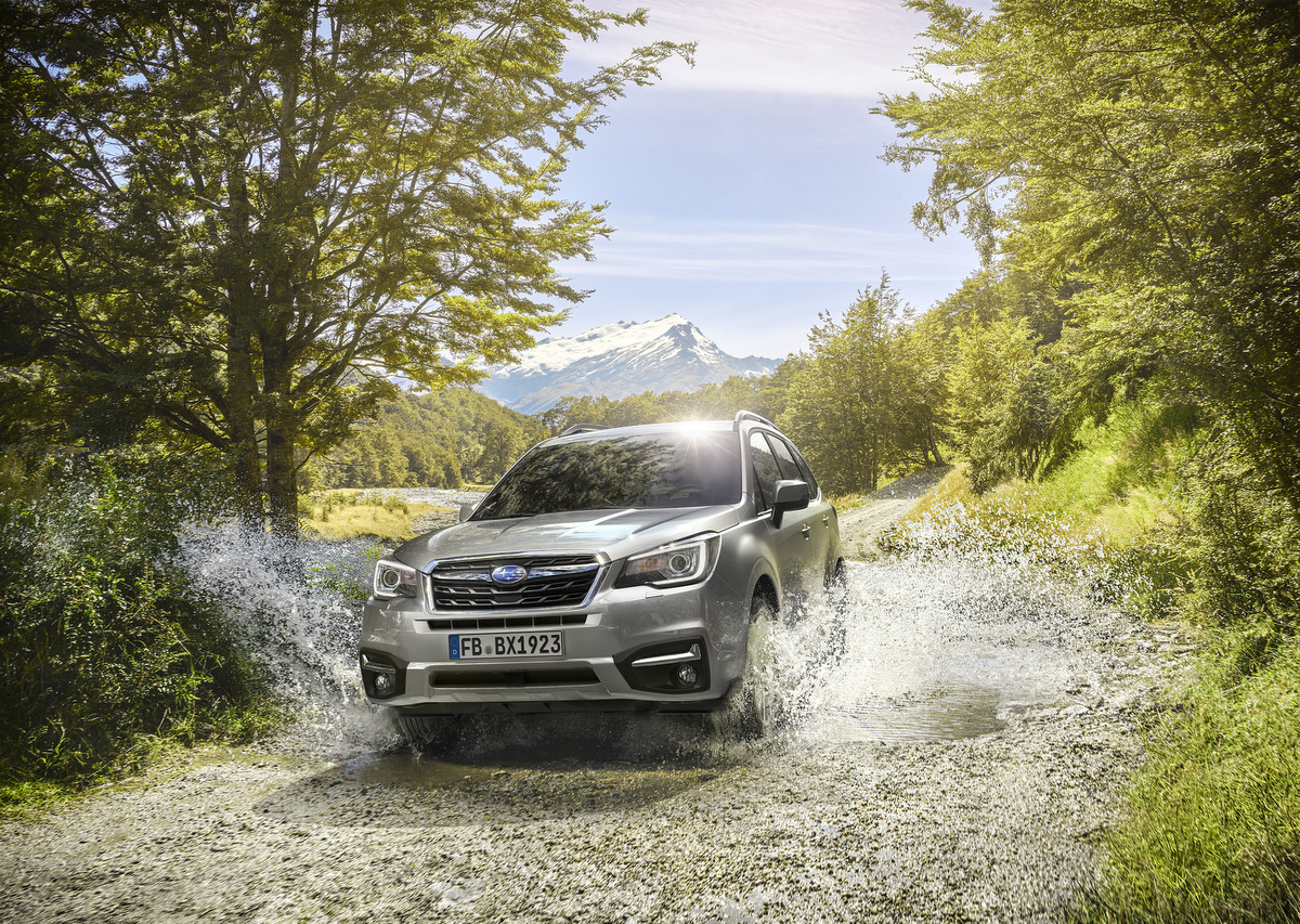 Frontansicht des Subaru Forester