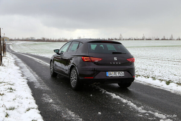 Seat Leon 2019 schräg hinten links