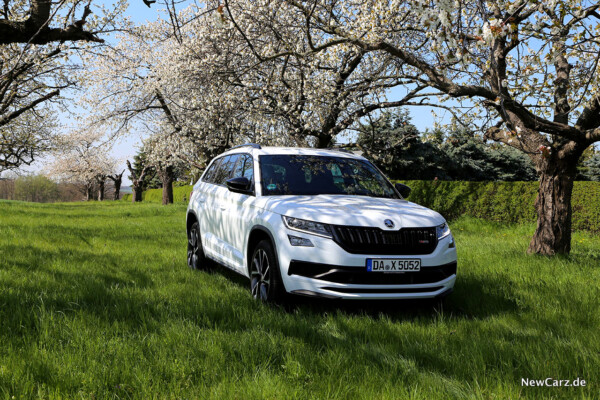 Skoda Kodiaq RS Unter Kirschblüte