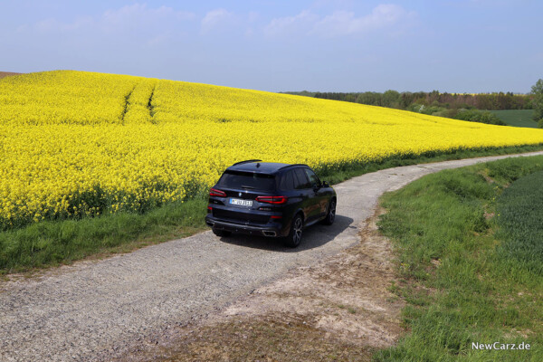 BMW X5 M50d vor Rapsfeld