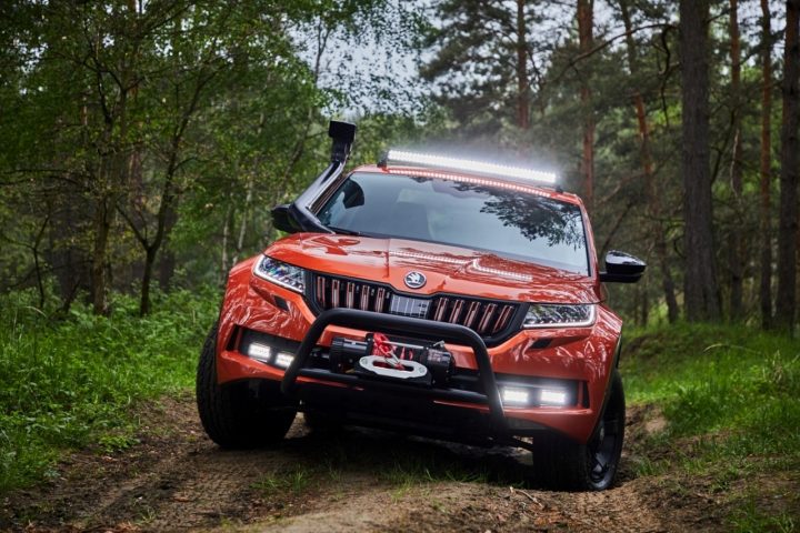 Skoda Mountiaq
