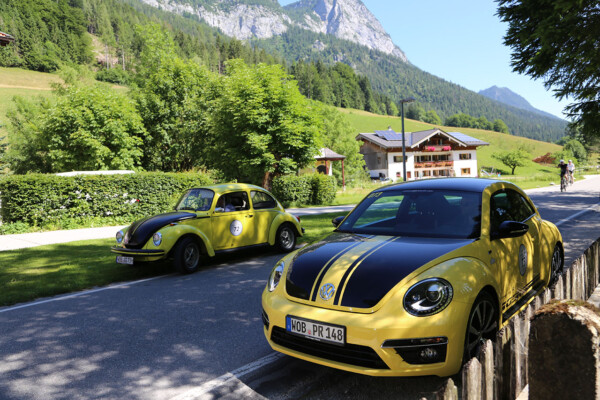 Edelweiß Classic 2019 Beetle & Käfer