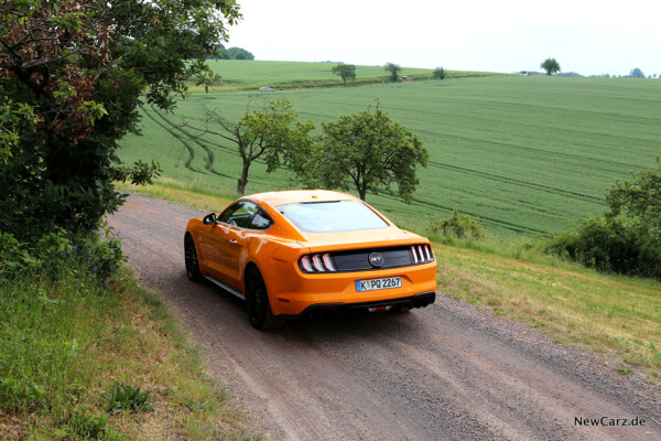 Ford Mustang GT schräg oben hinten