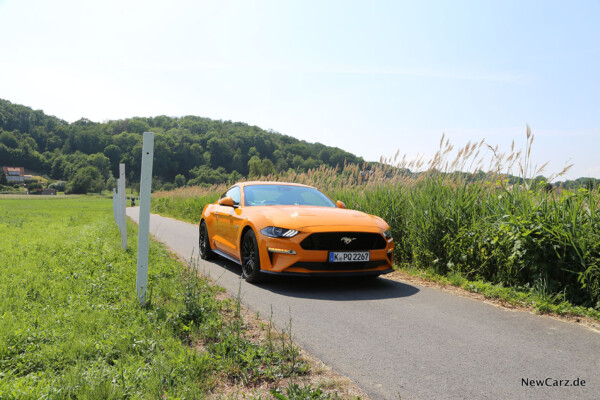 Ford Mustang GT auf Asphalt