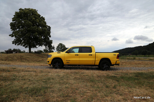 Seitenansicht US-Pick-Up