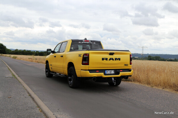 BigHorn Yellow Rocket