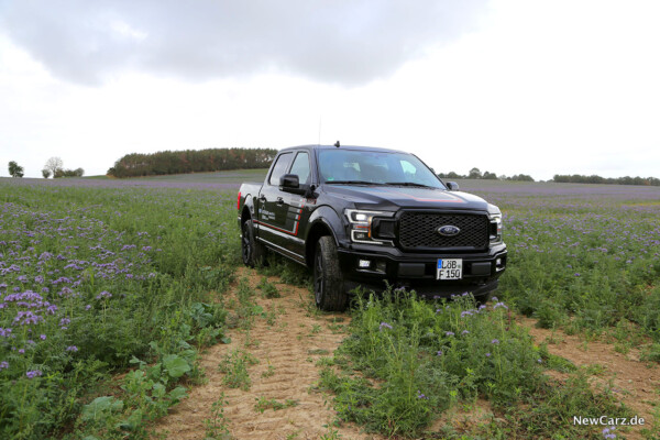 F-150 auf Wiese