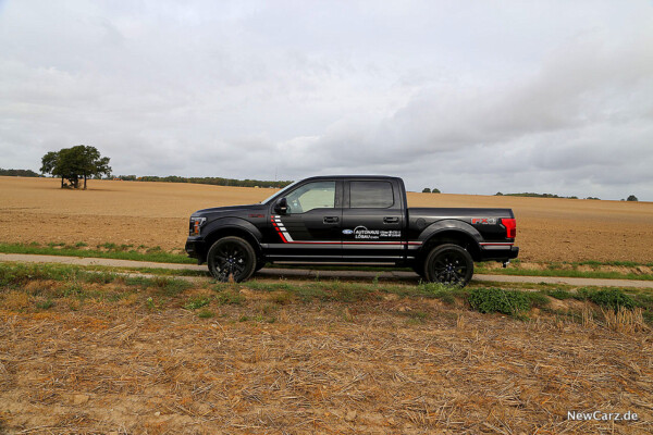 Seitenansicht Pick-Up Ford F-150