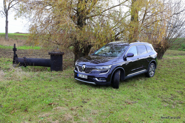 Unter der Weide im Renault Koleos Dauertest