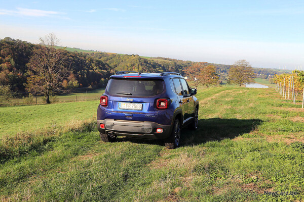 Renegade auf Gras