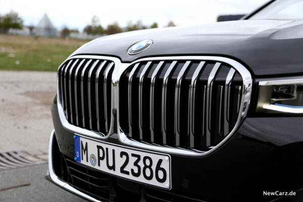 BMW Niere