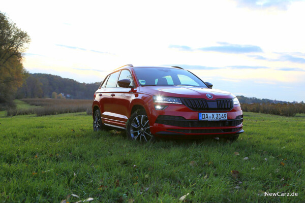 Skoda Karoq Sportline auf Wiese