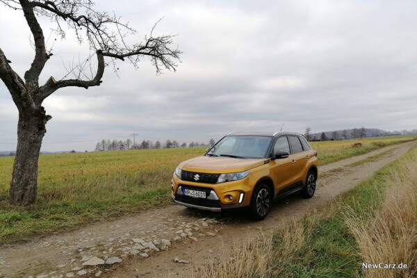 Vitara 2019