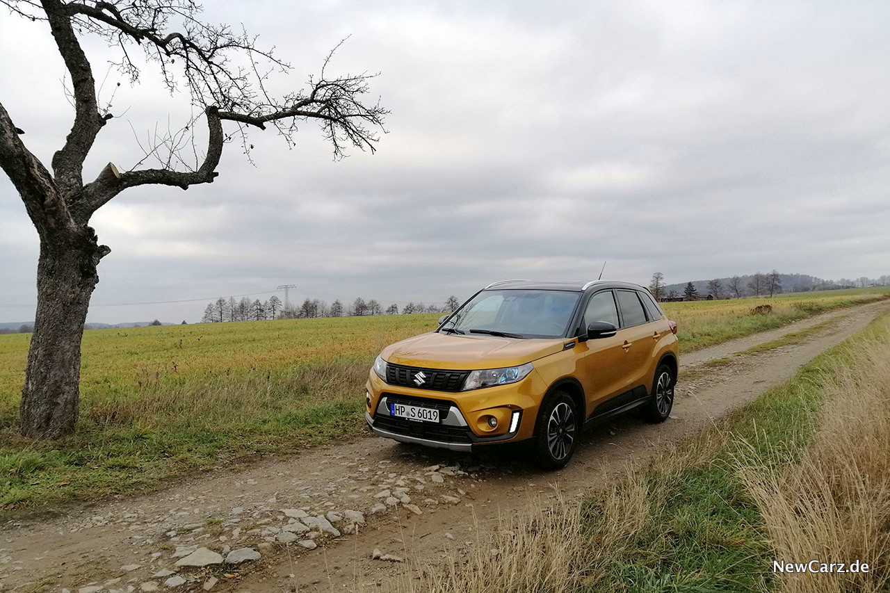 Suzuki Vitara Nach Der Erfrischungskur Newcarz De