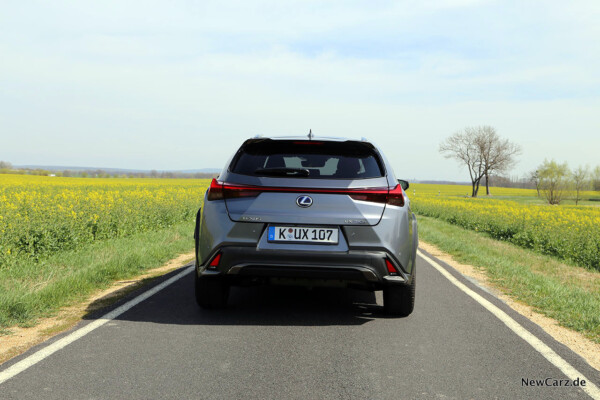 Lexus UX 250h Heck