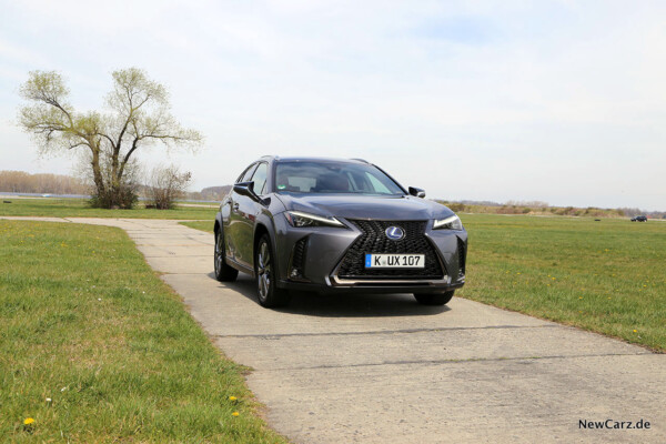 Lexus UX 250h schräg vorne rechts