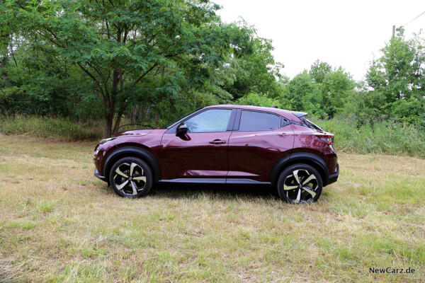 Nissan Juke auf Wiese