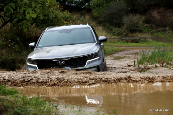 Sorento im Wasser