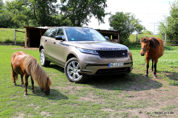 Range Rover Velar D300 neben Ponys