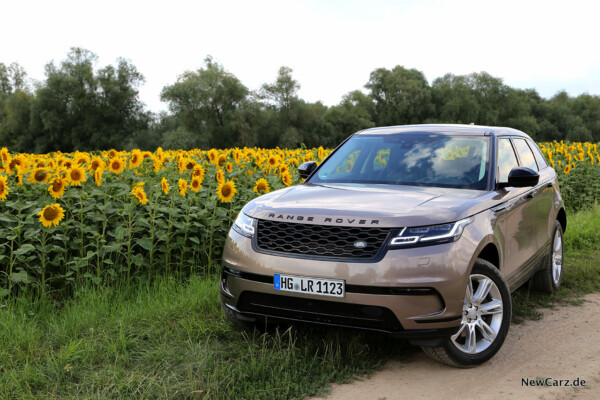 Range Rover Velar D300 vor Sonnenblumenfeld