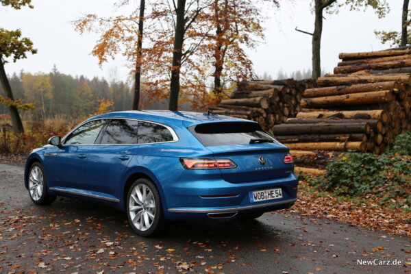 Shooting Brake im Wald