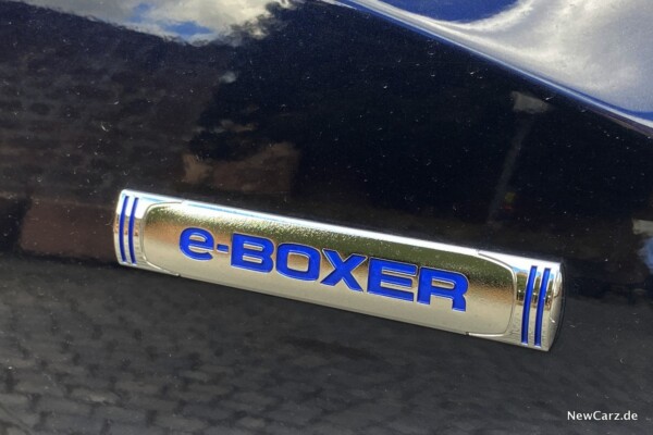 e-Boxer