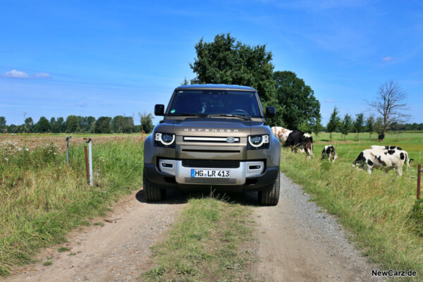 Land Rover Defender 110 an Kuhweide