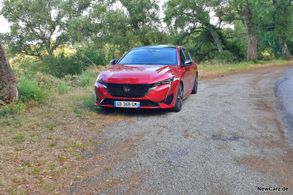 Peugeot 308 Parking