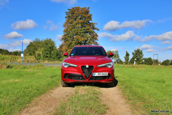 Alfa Romeo Stelvio Quadrifoglio Frontbereich