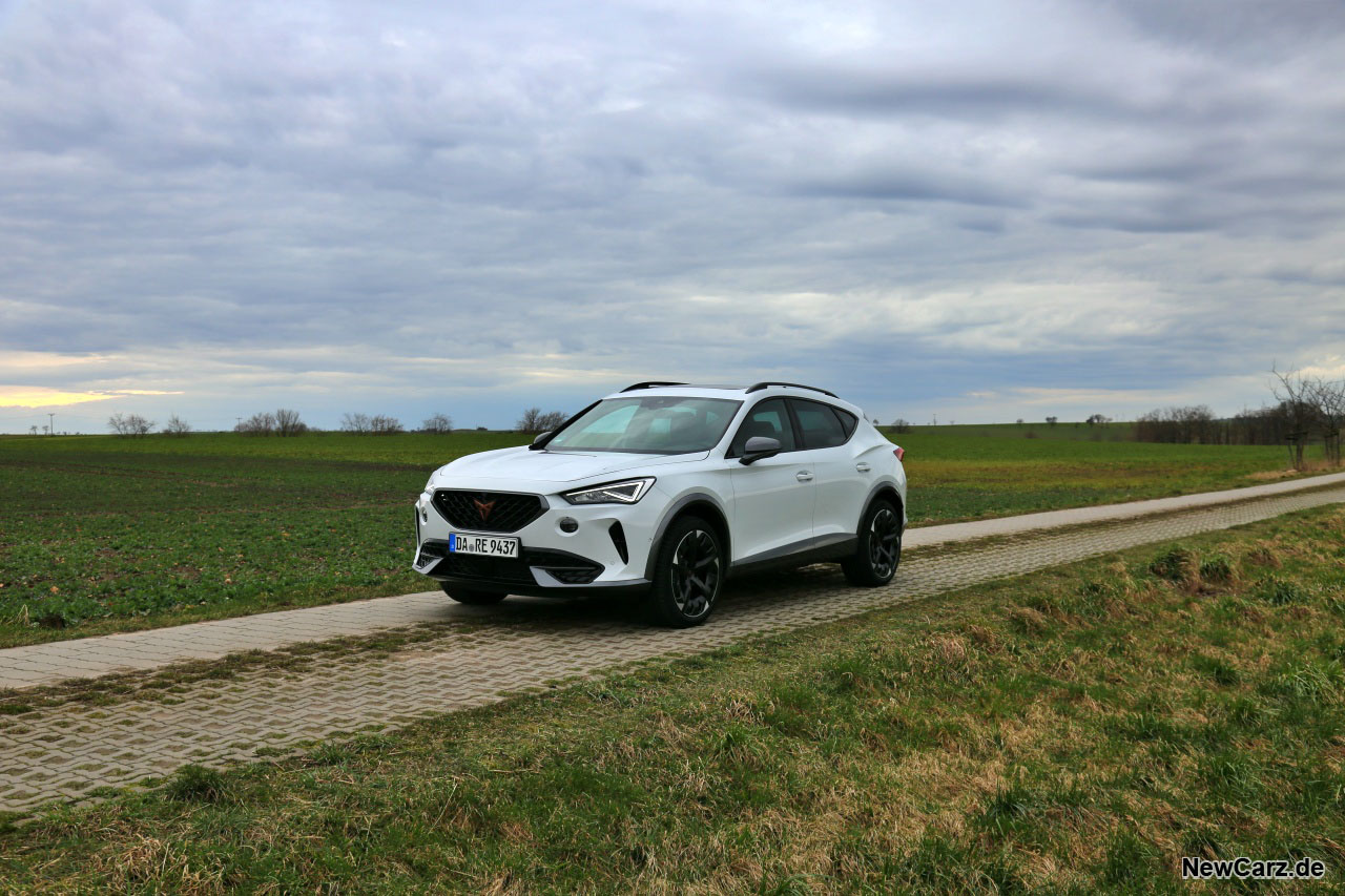 Cupra Formentor 2.0 TDI  Test –  Effizient geblendet