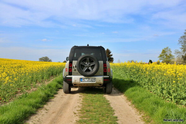 Land Rover Defender 90 Heck