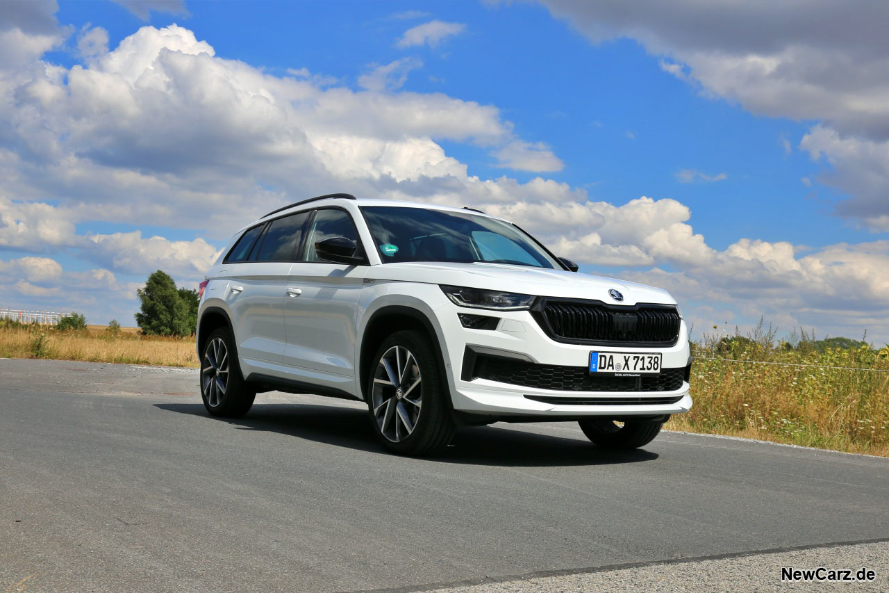 Skoda Kodiaq Facelift  Test –  Fellpflege für den Bären