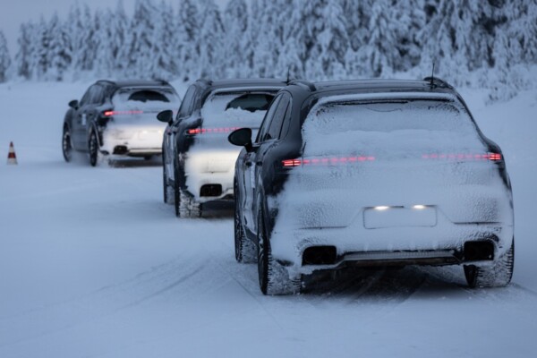 Cayenne in Winter