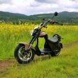 eFlux e-Chopper One